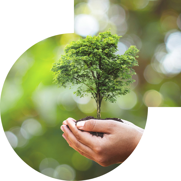 关怀人类、文化、环境与社会